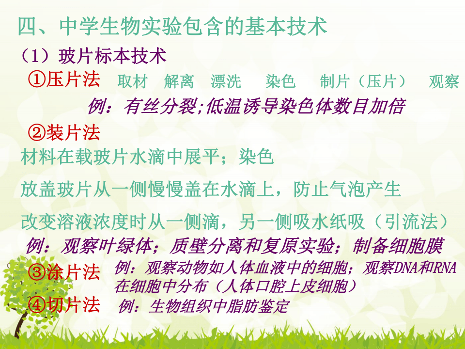 脸部变化会观察,言语重点善摸抓是什么生肖详细解答、解释与落实、全面解答解释落实