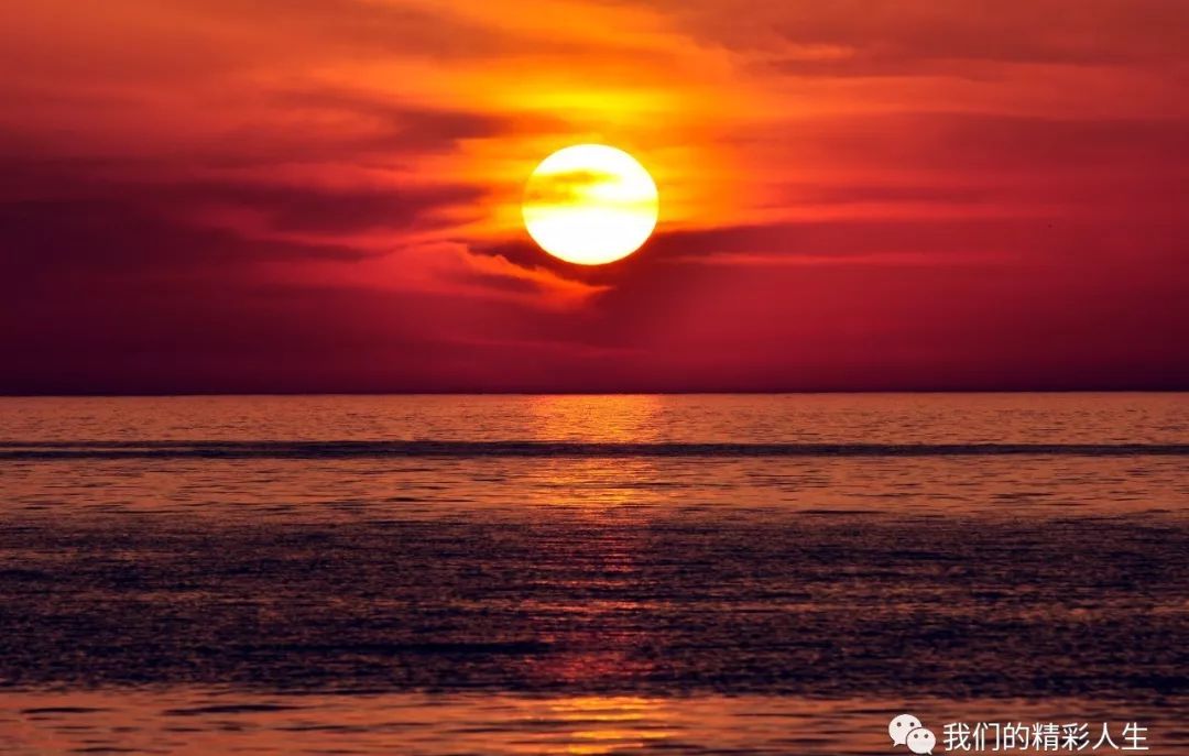 红日一出无影踪是什么生肖详细解答、解释与落实、统计解答解释落实